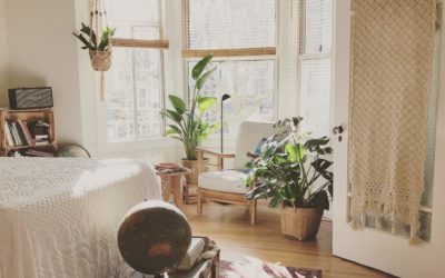 5 easy ways to fight off indoor allergens