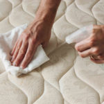 How to Clean Dog Urine From Mattress - The Dogington Post