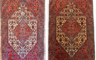 Yes, We Will Clean Area Rugs in Your Home!